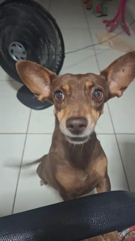 Foto do Vendedor